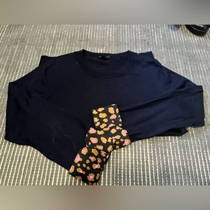 JCrew Crewneck Merino Sweater